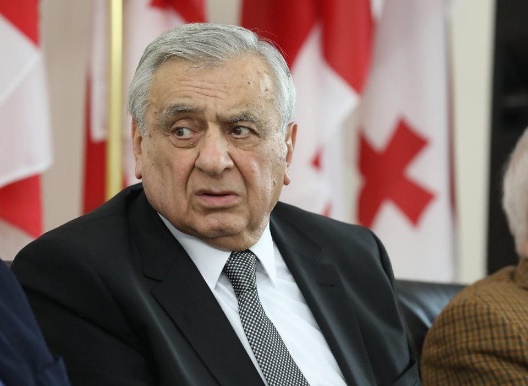 آکادمیسین رویین مترولی رئیس جدید آکادمی علوم گرجستان