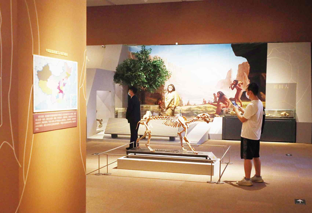 تأملی در نمایش میراث فرهنگی در چین