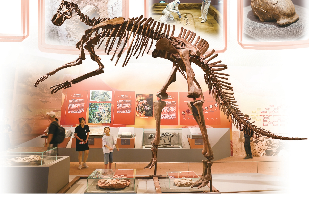 تأملی در نمایش میراث فرهنگی در چین