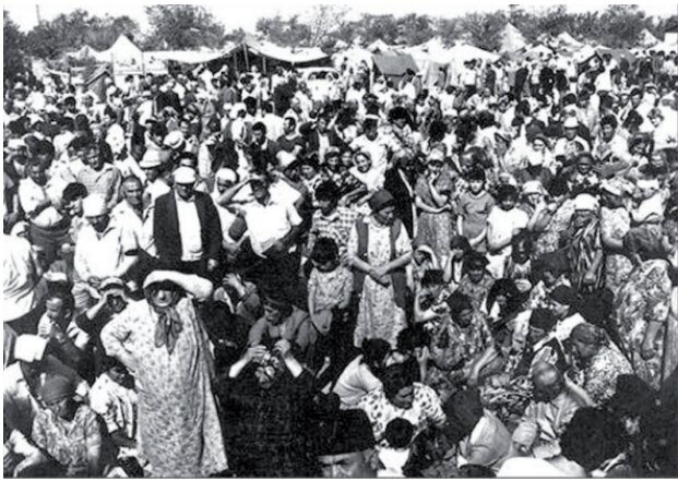 مسلمانان مسختی گرجی ، چالش های مربوط به ادغام و بازگرداندن مردم بدون وطن مسلمانان مسختی گرجی ، چالش های مربوط به ادغام و بازگرداندن مردم بدون وطن