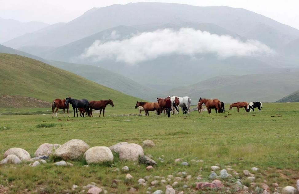 دیدنی‌های استان چوی قرقیزستان