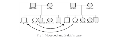 ازدواج و تعارضات خانوادگی در پاکستان: مدل بومی مدیریت تعارض