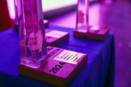 جشنواره بین المللی فیلم سوانتی «دالی» در شهر مستیا