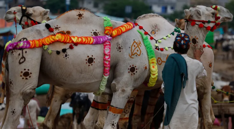 ده جشنواره معروف پاکستان ( بخش اول اعیاد مذهبی)