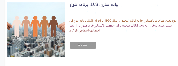 بنیاد  آمریکایی پاکستان (APF)