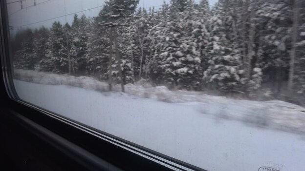 چرا روس ها قزاقستان را ترک می کنند؟ چرا روس ها قزاقستان را ترک می کنند؟