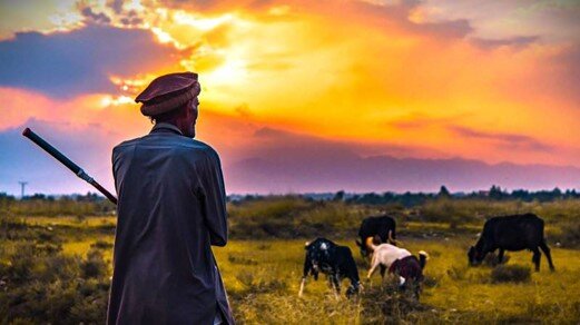 هزینه فرهنگی مهاجرتهای فصلی در سوات پاکستان هزینه فرهنگی مهاجرتهای فصلی در سوات پاکستان