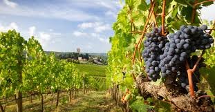 گردشگری روستایی ایتالیا(1)