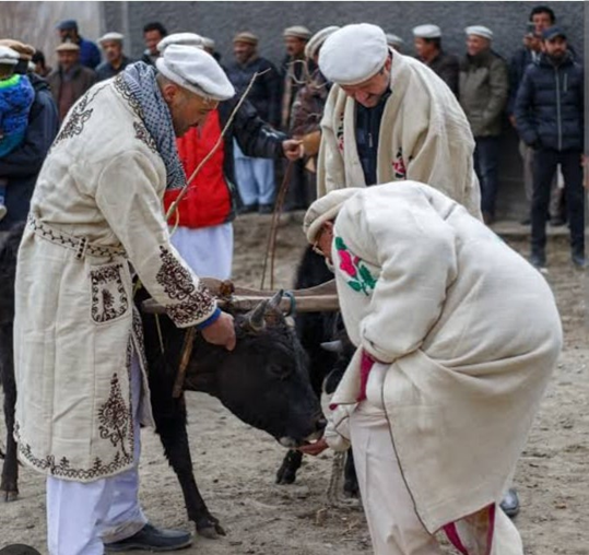 آیین 900 ساله استقبال از نوروز در پاکستان با رسوم ایرانی