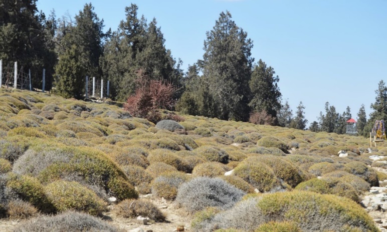 مناطق زیبای گردشگری در سراسر پاکستان