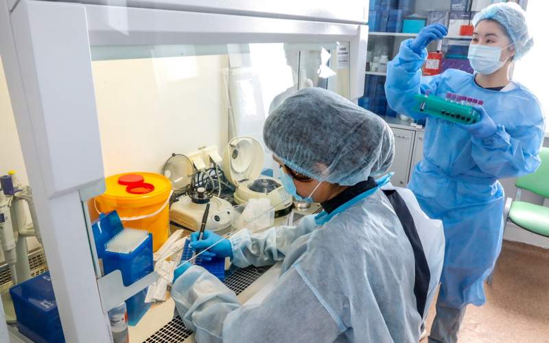 علاقه قزاق ها به تبارشناسی