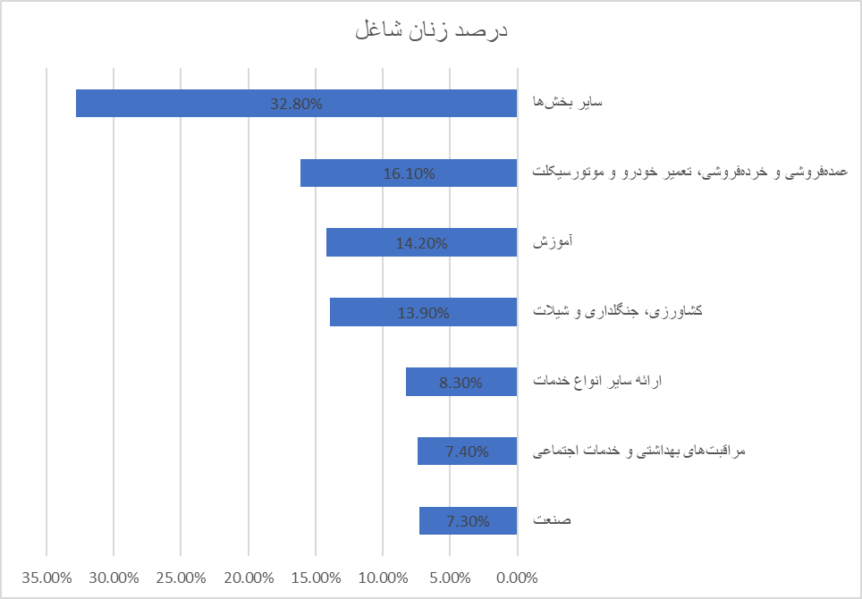 زنان در تقاطع فرهنگها: موزاییک هویت