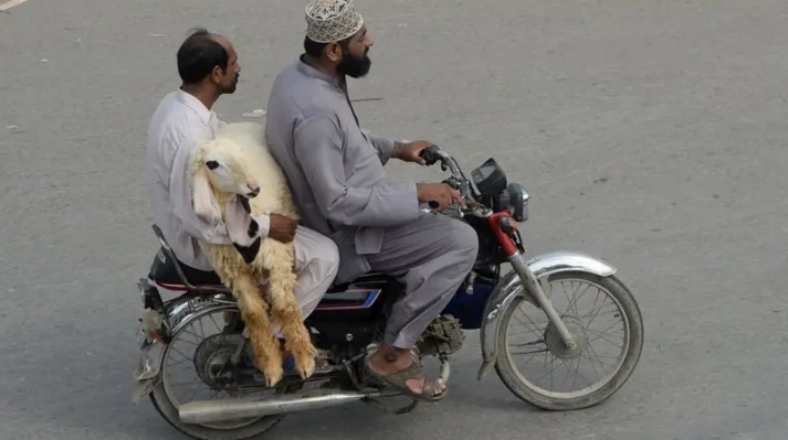 آیین عید قربان در پاکستان