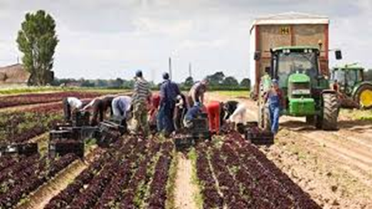 بررسی فرهنگ کار در بلغارستان
در مقایسه با کشورهای همسان و پیشرفته در اتحادیه اروپا