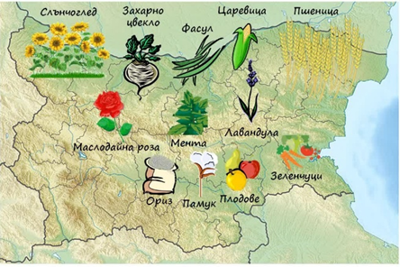 بررسی فرهنگ کار در بلغارستان
در مقایسه با کشورهای همسان و پیشرفته در اتحادیه اروپا