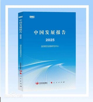 توسعه چین 2025 ازمرکز تحقیقات توسعه شورای دولتی