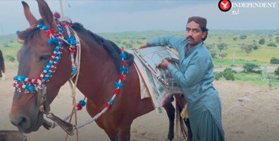 هنر رو به فراموشی ساخت لوازم زینتی اسب‌ها و شترها
