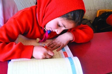 زبان‌های مادری در معرض خطر پاکستان