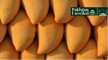 آشنایی با میوه ملی پاکستان