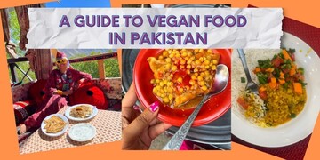 تجربه زیسته یک زن جهانگرد از غذاهای پاکستانی
