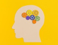 چرا روشنفکری در پاکستان بحث‌برانگیز است؟