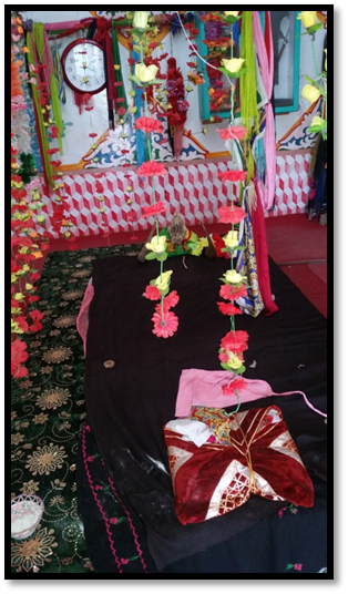 از کرامت تا کلام؛ سیر عرفان و شعر در شخصیت سید حسن ولی