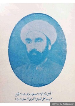 علامه عبدالعلی هروی تهرانی