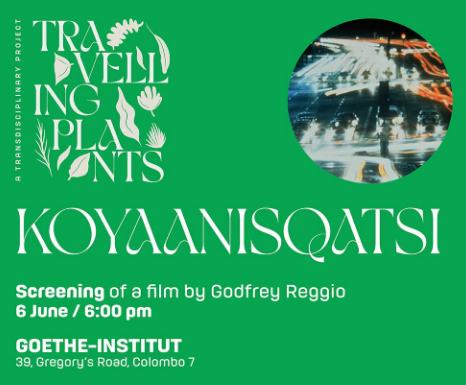 معرفی مرکز فرهنگی – آموزشی آلیانس فراتسه در سریلانکا