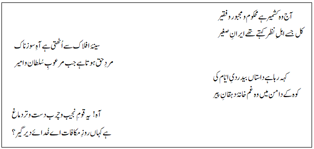 برگزاری جشن «شب یلدا» تحت عنوان «می فنگ» در پاکستان