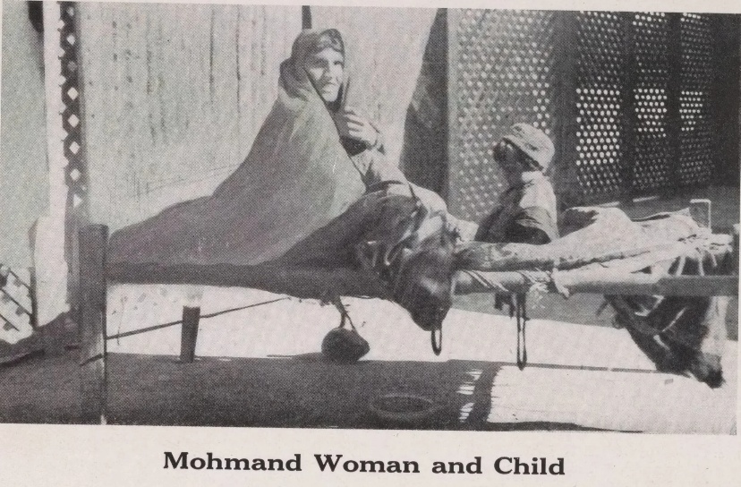 قبیله مهمند؛ تاریخ، فرهنگ و حافظه مقاومت